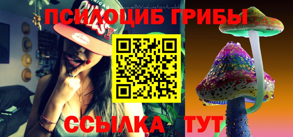 Галлюциногенные грибы Magic Shrooms  Стерлитамак  Галлюциногенные грибы Cubensis 